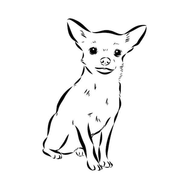 Chihuahua Chien Isolé Illustration Vectorielle Vecteur Chihuahua