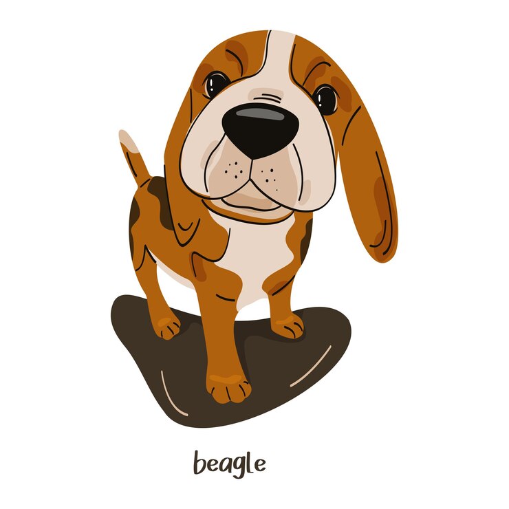 Vecteur chiot beagle mignon en style dessin animé plat illustration vectorielle de race de chien