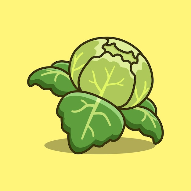 Chou simple dessin animé vecteur icône illustration légume icône
