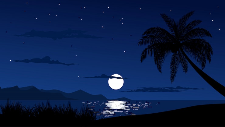Vecteur ciel nocturne à la plage tropicale