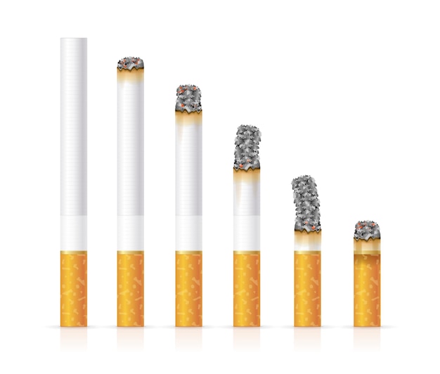 Cigarette Réaliste Définie Différentes étapes De La Brûlure