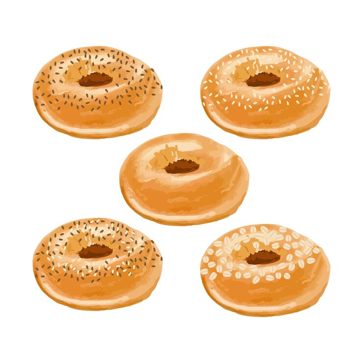 Vecteur cinq types différents de bagels sont représentés sur un fond blanc