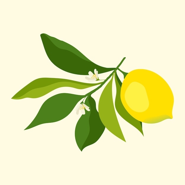 Vecteur citron jaune entier sur une branche avec des fleurs et des feuilles