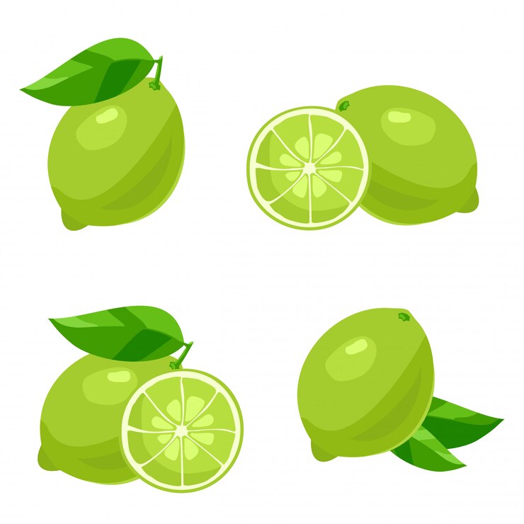 Citron vert avec des feuilles. Vecteur