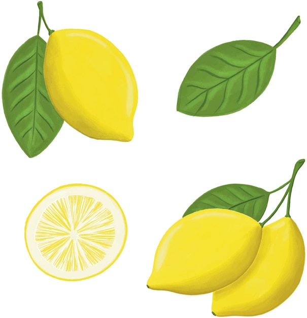 Vecteur citrons set vector