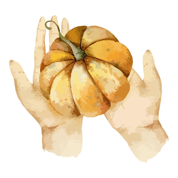 Citrouille Aquarelle Peinte à La Main Dans Les Mains