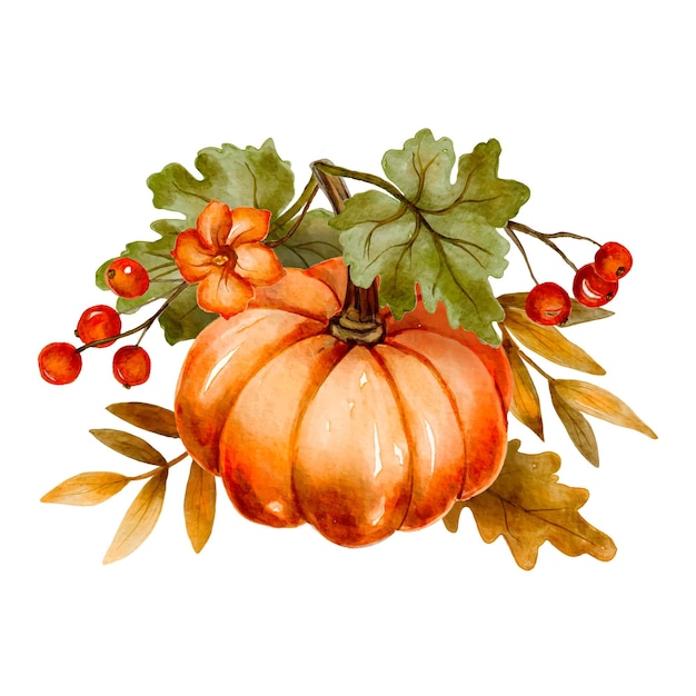 Citrouille d'automne et feuilles de baies florales, illustration vectorielle aquarelle, jour de Thanksgiving