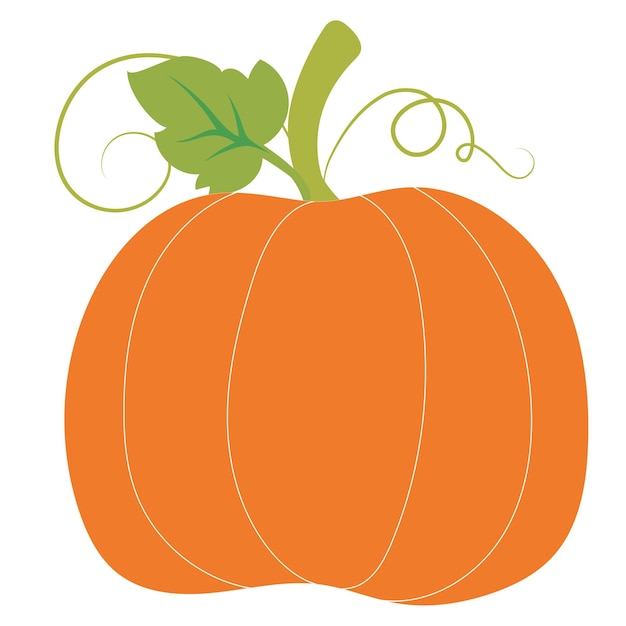 Citrouille - courge pour Halloween ou Thanksgiving icône de couleur vectorielle plate pour les applications et les sites Web.