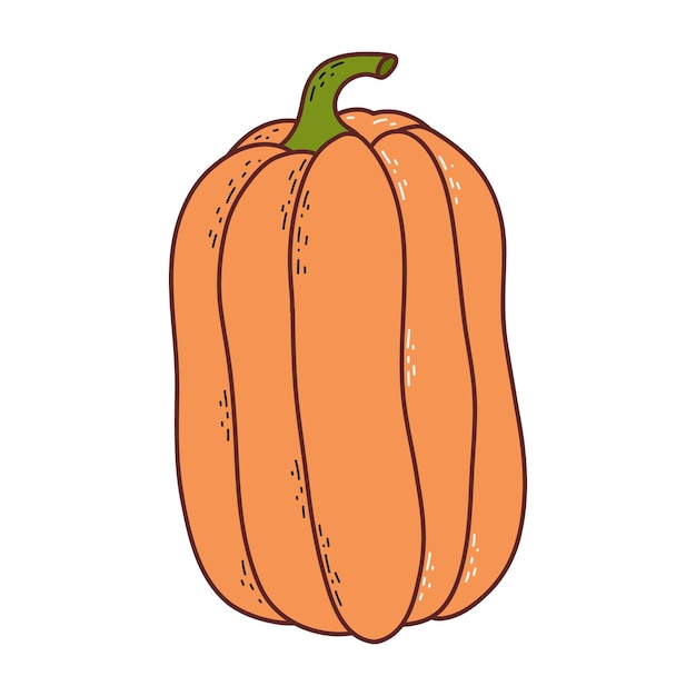 Citrouille Mignonne Thanksgiving Et élément D'halloween Illustration Vectorielle Dans Un Style Dessiné à La Main