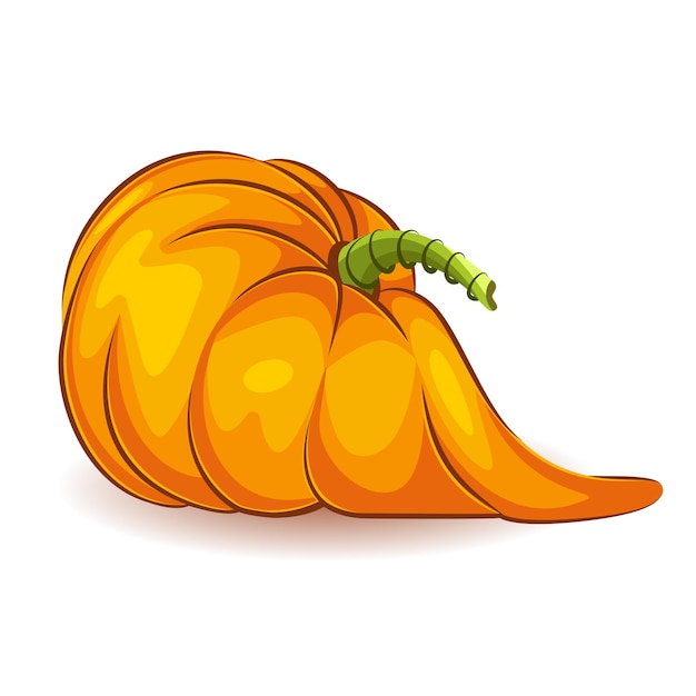 Citrouille orange. Légume. Le symbole principal de la fête est Halloween. Illustration vectorielle isolée sur fond blanc.