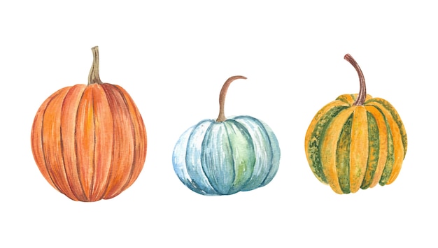 Citrouilles à l'aquarelle