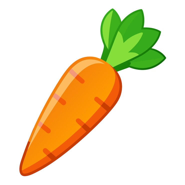Vecteur clip art de carotte et conception vectorielle avec un fond blanc