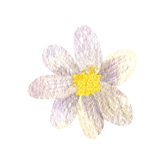 Vecteur clipart aquarelle de forêt de fleurs blanches sauvages