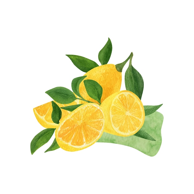 Clipart Aquarelle De Fruits De Citron Illustration De Branche De Citron Avec Des Feuilles Vertes