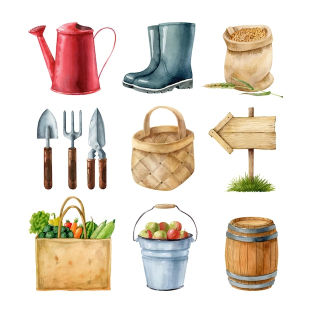 Clipart aquarelle sertie d'équipement de jardin et de légumes hasst Illustration dessinée à la main