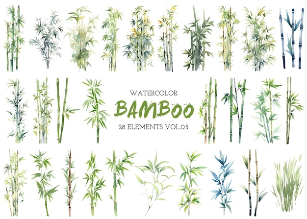 Clipart En Bambou Peint à L'aquarelle Vectorielle, éléments De Conception Dessinés à La Main Isolés Sur Fond Blanc