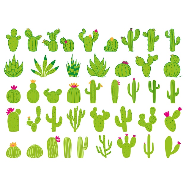 Clipart de cactus