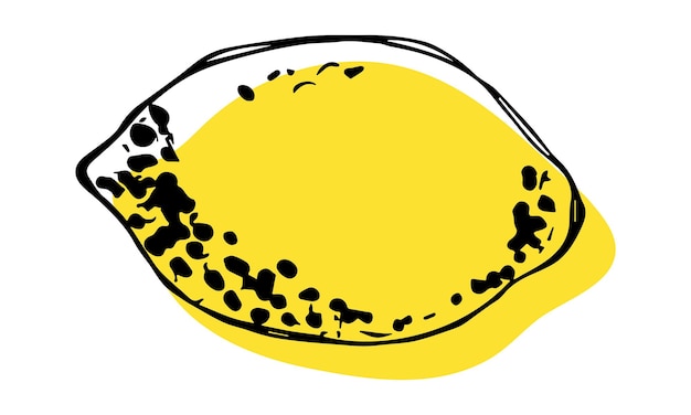 Clipart De Citron De Vecteur Icône D'agrumes Dessinés à La Main Illustration De Fruits Pour Le Décor De Conception De Sites Web D'impression
