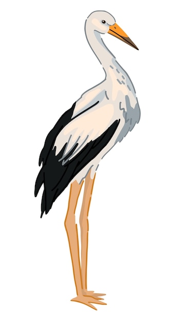 Vecteur clipart d'oiseau de cigogne doodle unique d'animal sauvage isolé sur blanc illustration vectorielle colorée en style cartoon