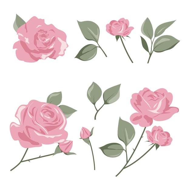 Vecteur clipart de rose rose pour les ressources graphiques belle fleur sur un fond blanc isolé