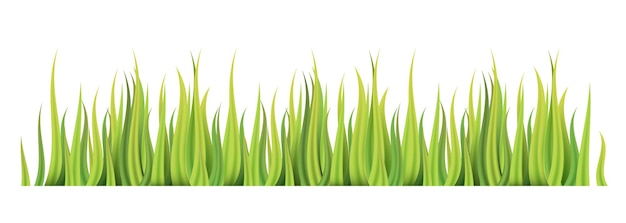 Vecteur clipart vectoriel d'herbe isolé sur fond blanc