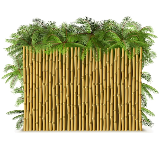 Vecteur clôture de bambou de vecteur avec palm