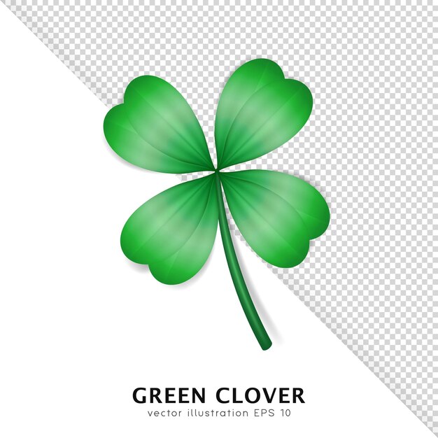 Clover vert vectoriel réaliste isolé sur un fond transparent Trèfle de dessin animé