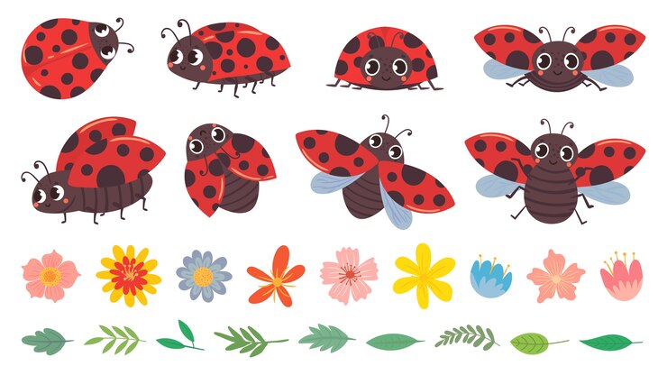 Vecteur coccinelle de dessin animé