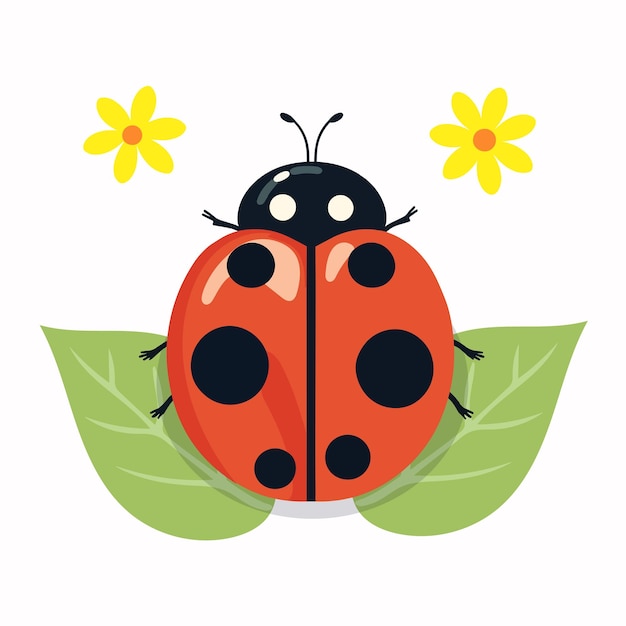 Vecteur coccinelle sur une illustration de feuille