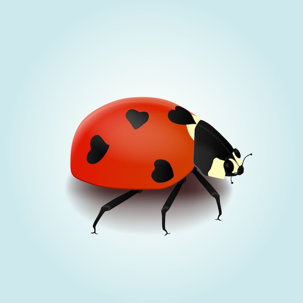 Coccinelle de vecteur avec coeur