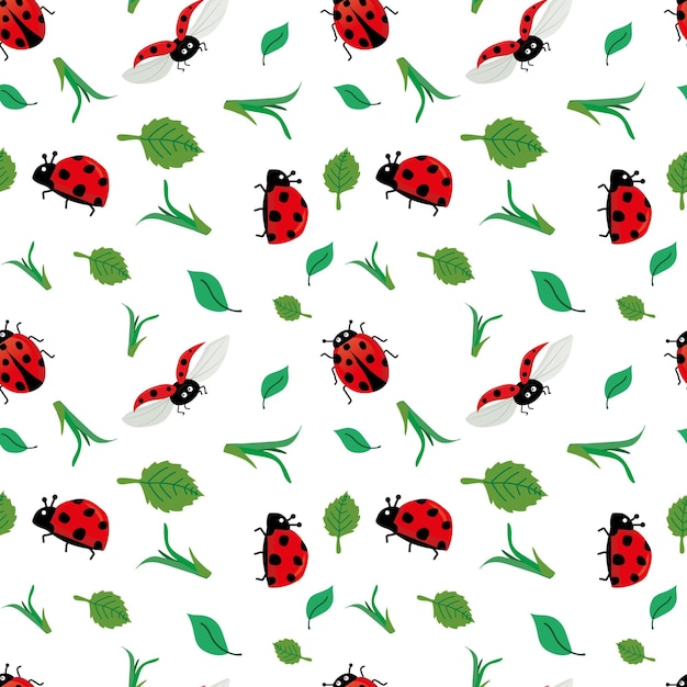 Coccinelles De Modèle