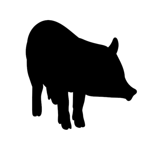 Cochon De Silhouette Isolé