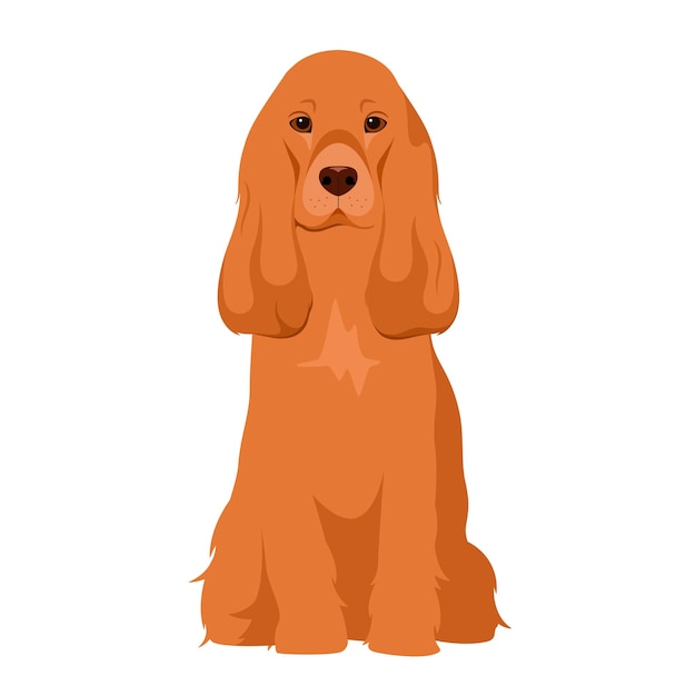 Cocker Spaniel Sur Fond Blanc. Conception De Dessin Animé.