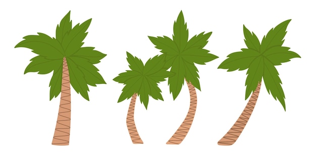 Vecteur cocotier tropical doodle clipart plat tous les objets sont repeints