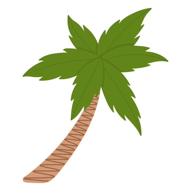 Vecteur cocotier tropical. doodle clipart plat. tous les objets sont repeints.