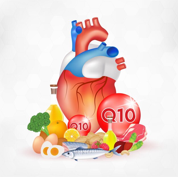 Coenzyme Q10 Et Cœur