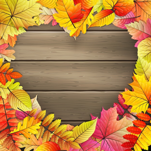 Vecteur coeur avec des feuilles d'automne colorées.