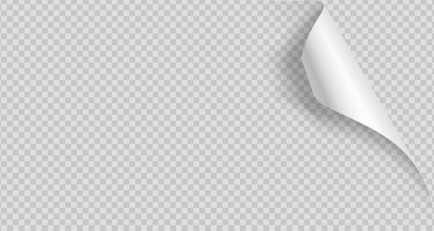 Coins de papier bouclés avec une illustration réaliste à l'ombre