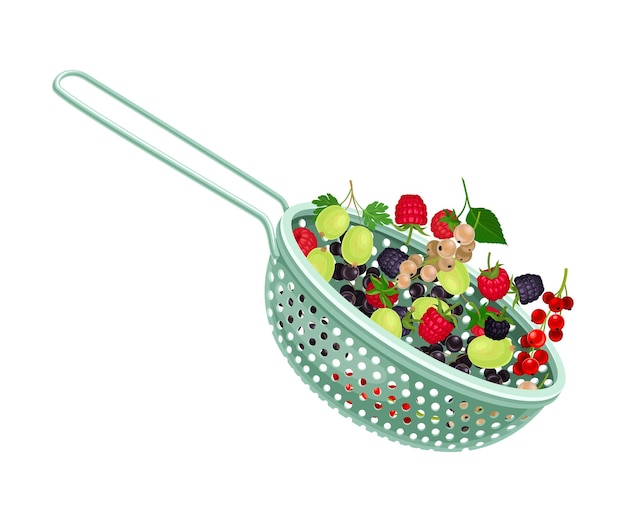 Vecteur colander de cuisine en plastique ou tamis avec des baies à l'intérieur illustration vectorielle