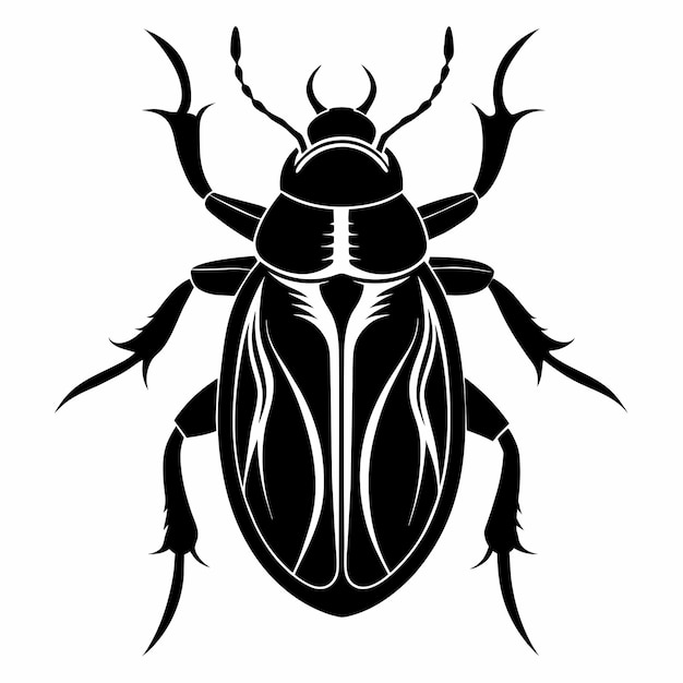 Vecteur un coléoptère noir avec un dessin qui dit coléoptères sur lui