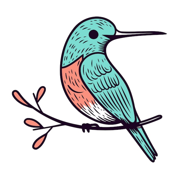 Colibri Assis Sur Une Branche Illustration Vectorielle En Style Dessin Animé