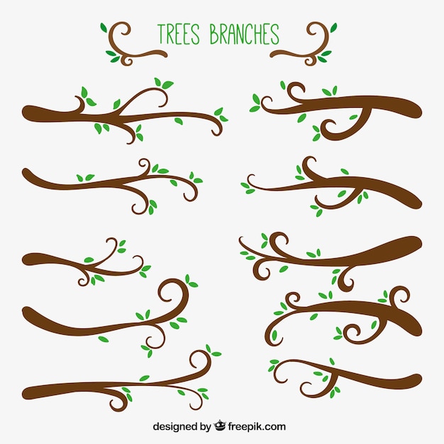 Collecte De Branches D'arbres