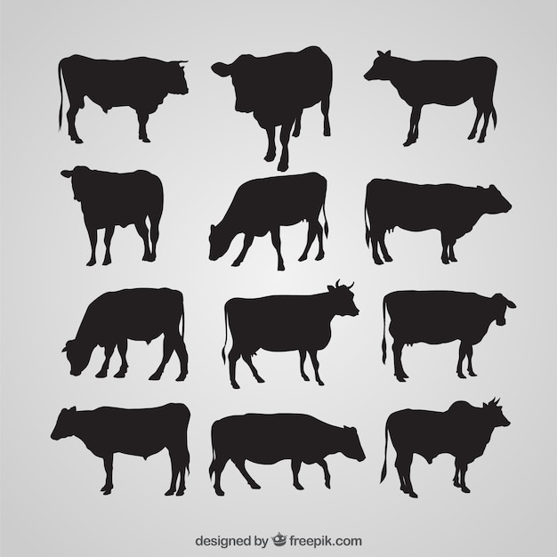 Vecteur la collecte des silhouettes de vache