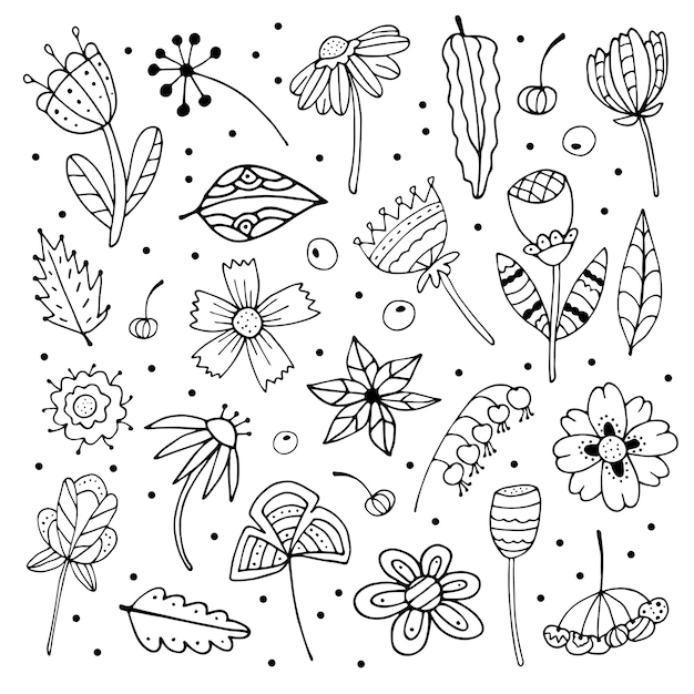 Collection Abstraite De Fleurs Et De Feuilles De Doodle Contour Vectoriel Dessiné à La Main D'éléments Botaniques Fantaisie