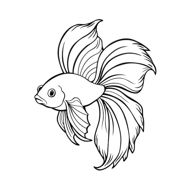 Collection d'animaux aquatiques Illustrations de la vie marine et des créatures de l'océan