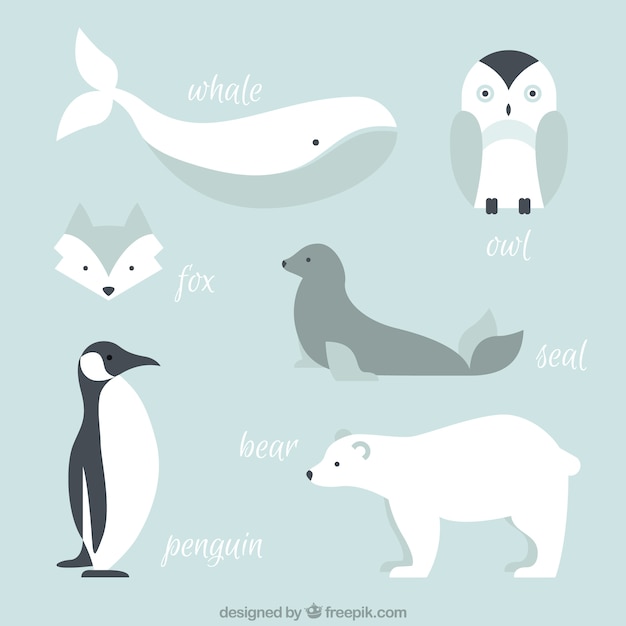 Vecteur collection des animaux de l'arctique