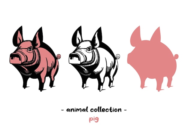Collection d'animaux, Cochon
