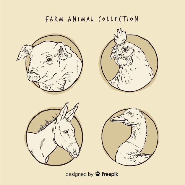 Collection D'animaux De Ferme Dans Un Style Dessiné à La Main