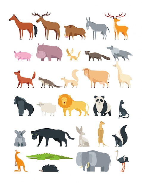 Collection d'animaux de la forêt, de la savane et de la ferme isolée on white