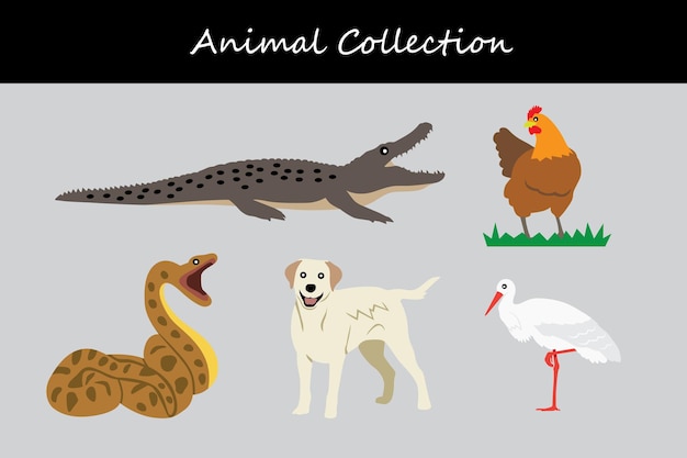 Collection D'animaux Illustration Vectorielle D'un Ensemble D'animals Sauvages